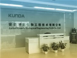 一呼百應(yīng) 技術(shù)賦能，智聯(lián)未來——上海技術(shù)咨詢頻道解析